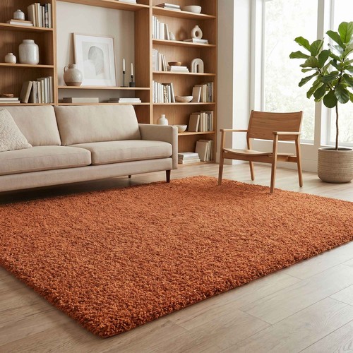 Super soft shaggy - super, rug