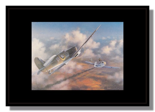 Messerschmitt 109 spitfire - messerschmitt,