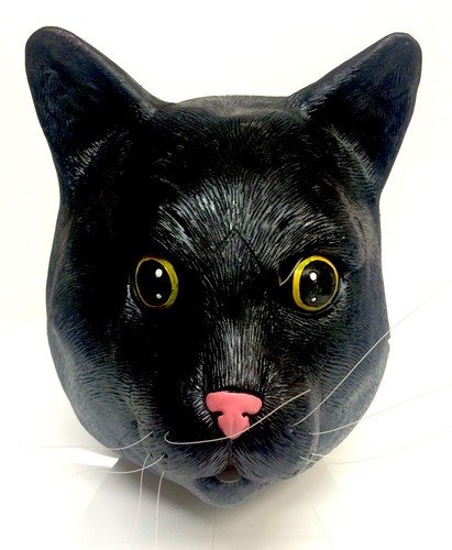 All black cat - all,