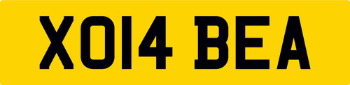 Bea beatrice beatrix - bea,