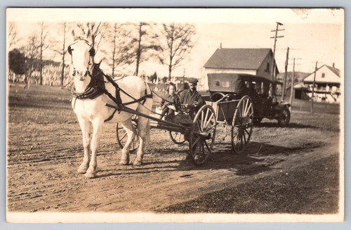 Rppc c1910s white horse - c1910s, buggy