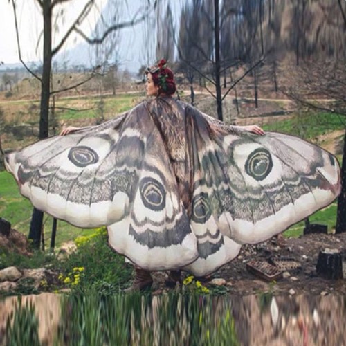 Cosplay butterfly wings cape - butterfly,