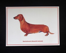 CRAFT BEAUTIFUL  2011  DACHSHUND DOG BREED ART CARD  READY FOR FRAMING & HOBBIES