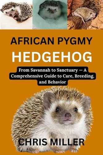 African pygmy hedgehog from - hedgehog:,