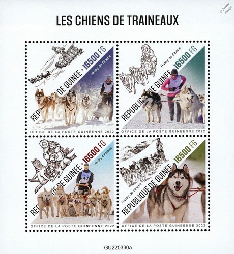 Sled dogs alaskan - dogs,