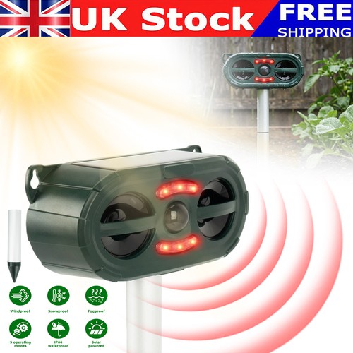Solar squirrel deterrent - squirrel,