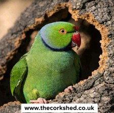 CORK BARK FLATS MIX 1kg BUDGIE