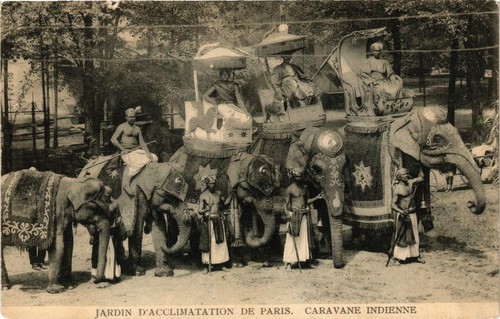 Cpa paris 16e jardin - paris,