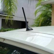 6 3/4" inch Short Black