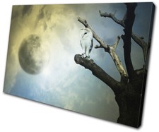 Owl Moon Space Surrealism