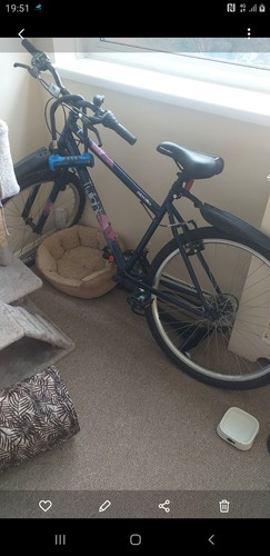 Mountain bike for - mountain,