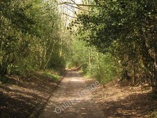 Photo 6x4 Footpath towards