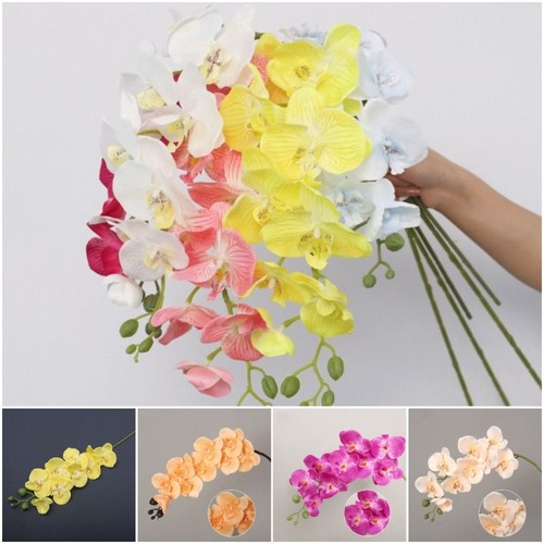 Simulation butterfly orchid - simulation,