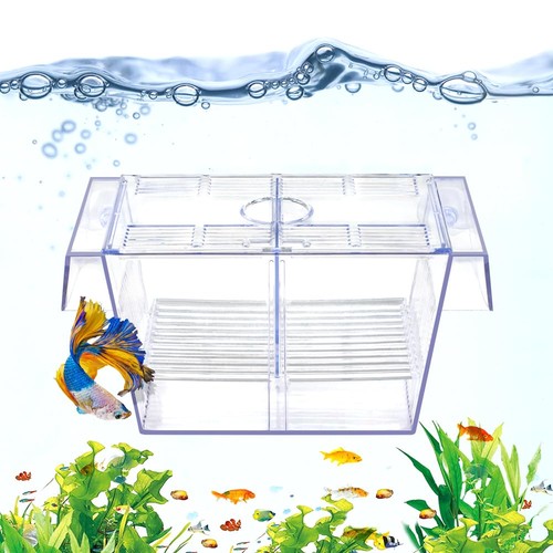 Datoo fish breeding box - datoo,