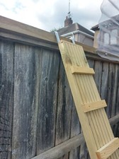 NEW Catio ladders with FENCE