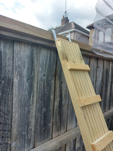 New catio ladders with fence - new,
