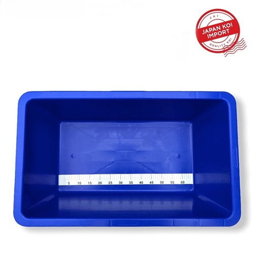 Superfish koi fish - koi, blue