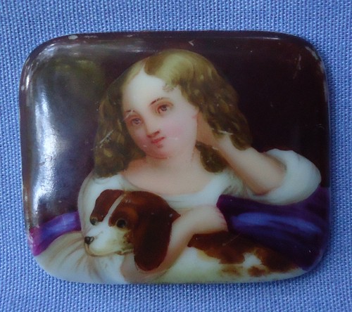 Cavalier king charles spaniel - cavalier,