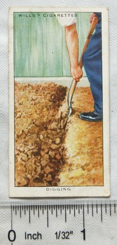 1938 wills garden hints - garden,