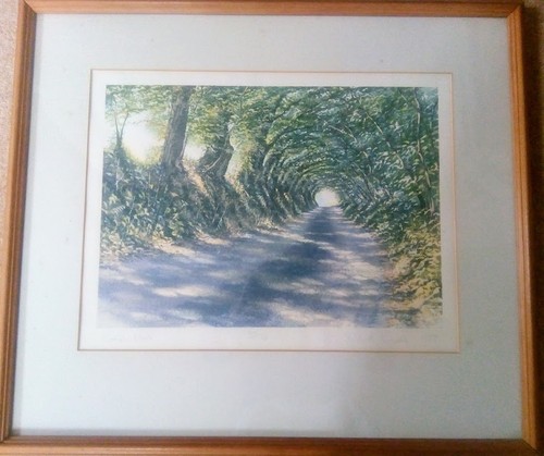 Cornish elms by listed - elms",