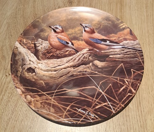 Royal doulton plate early - royal,