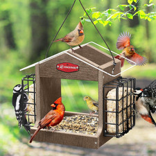 Hopper Bird Feeder for Outdoor