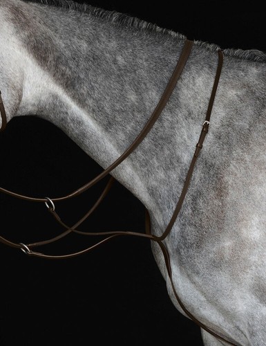 Collegiate running martingale - collegiate,