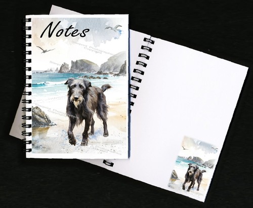 Deerhound lurcher dog - deerhound/lurcher,