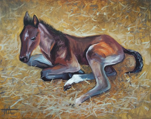 Horse original oil painting - horse,