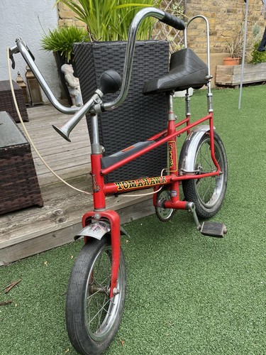 Used vintage raleigh tomahawk - raleigh,