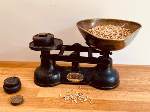 British whole wheat grain for - wheat, grain.for