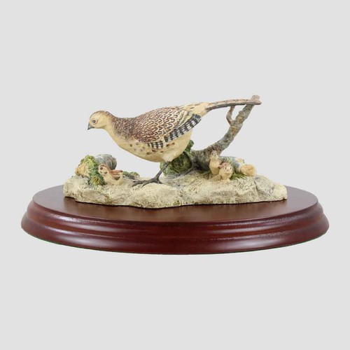 Hen pheasant and chicks border - hen,
