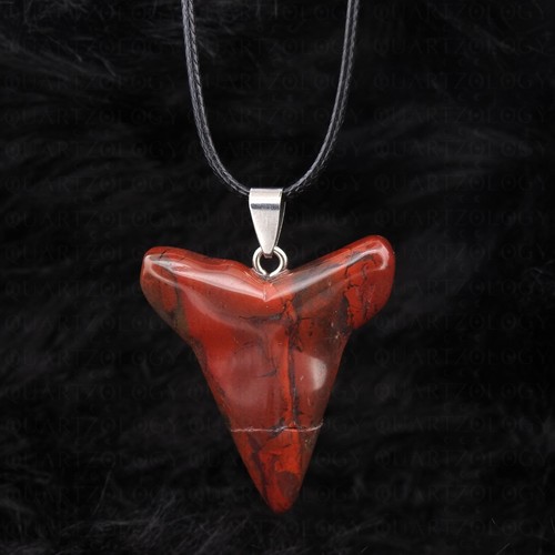 Shark tooth necklace chakra - necklace,