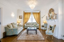 Dark Gold Beige Shag Rug