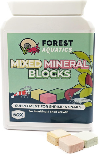 Forest aquatics mixed - x,