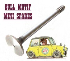 Classic Mini Inlet Valve -