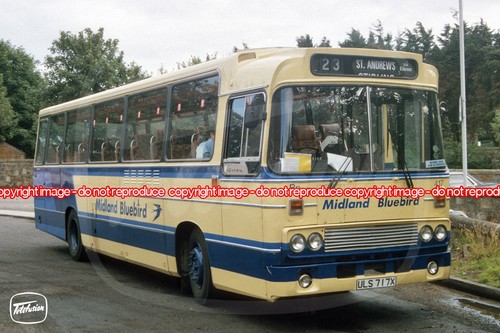 Bus photo midland bluebird - photo,