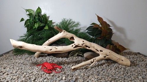 Driftwood aquarium fish - , &
