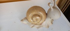 Snail Garden Ornament