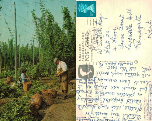 Vintage postcard hop picking - -,