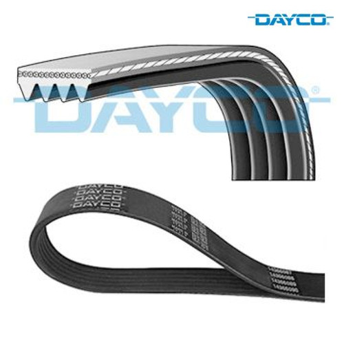Ribbed belt dayco 4pk800 for - belt,