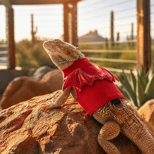Cartoon ferret vest harness - ferret,