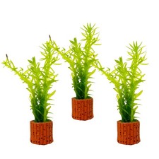 3× Egeria Densa in Mini Clay Pots – Live Aquarium Plants – FREE DELIVERY