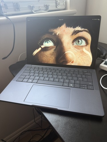 Dell pro premium - 13,