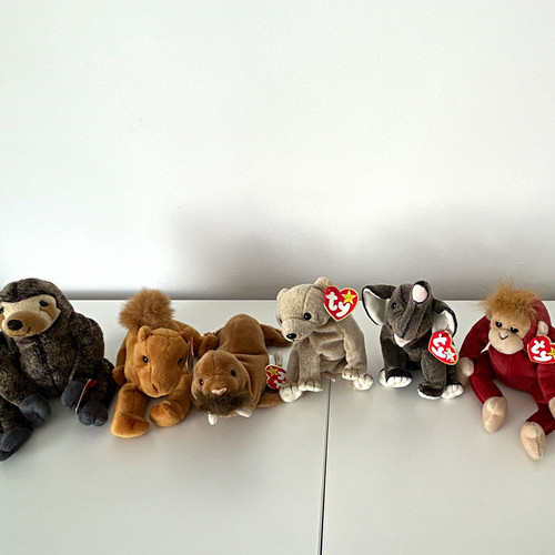 Beanie babies safari bundle - ty,