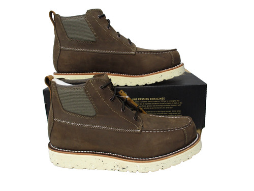 Irish setter red wing - irish,