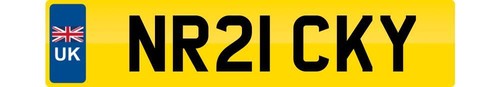 Ricky private number plate - ricky,
