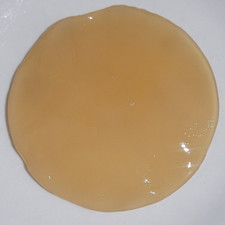 kombucha starter scoby " XL"  9cm Green tea TOP QUALITY Fresh