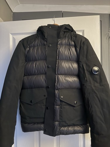 Company men s - dd, shell