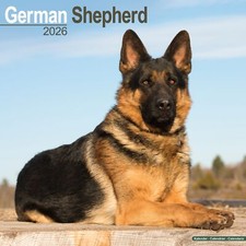German Shepherd 2026 Calendar
